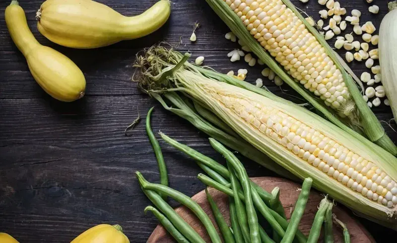 Three Sisters Garden Method