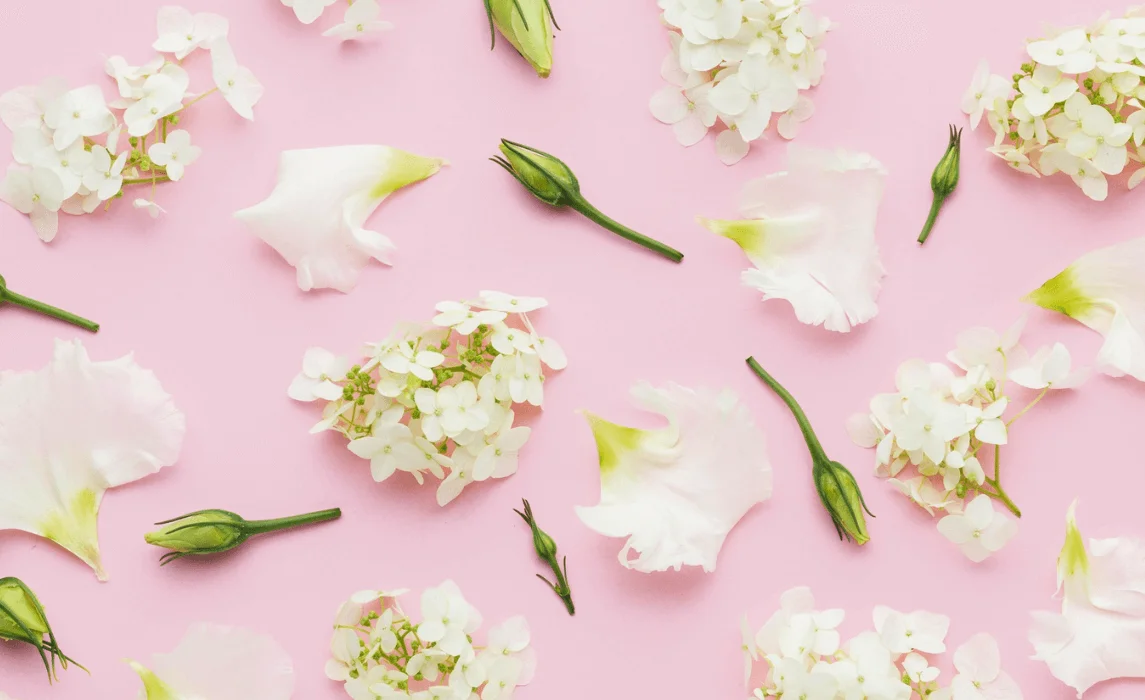 White Flowers: Types of White Flowers to Grow in Your Garden