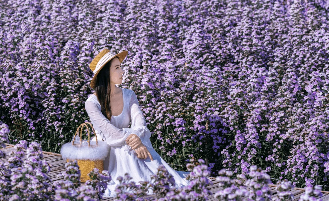 Purple Flower Garden: Create a Stunning Garden with Vibrant Purple Blooms