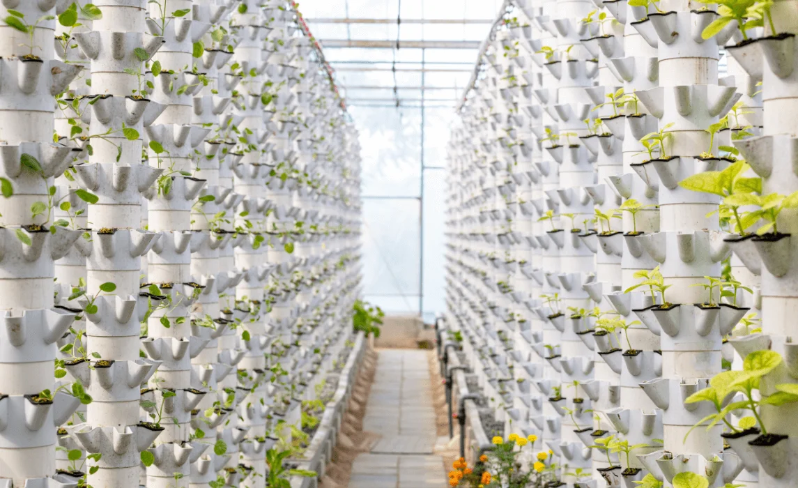 Aquaponic Indoor Garden