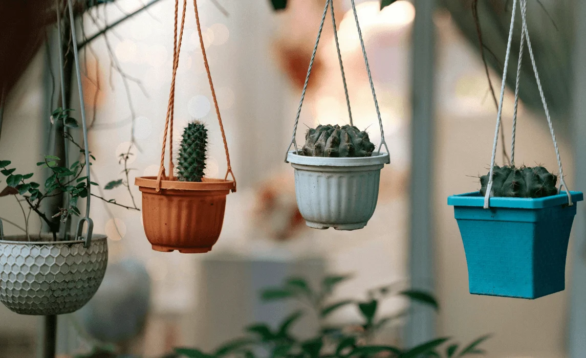 Hanging Indoor Garden