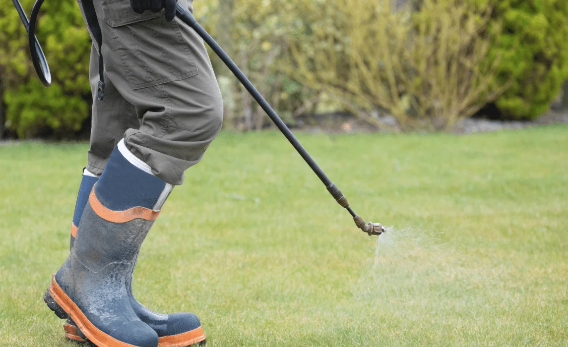 DIY Weed Killer: Your Natural Homemade Weed Killer Recipes