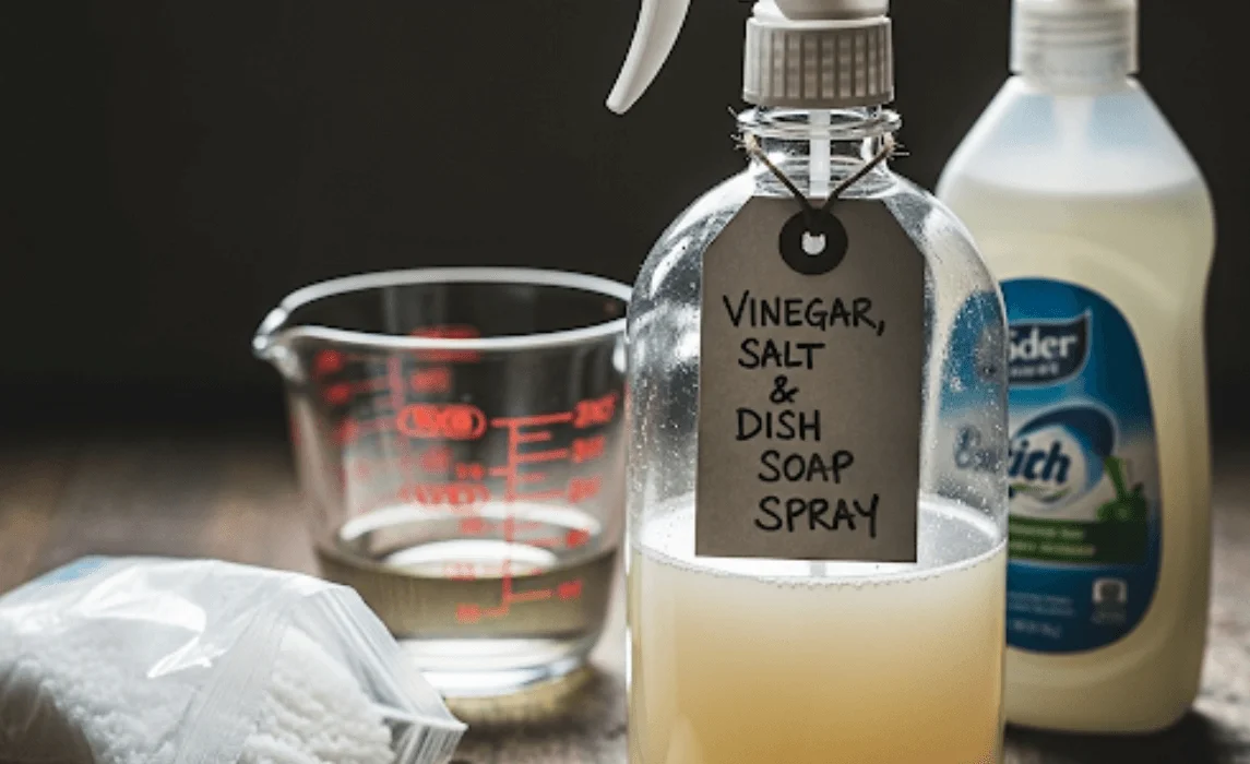 Vinegar, Salt, and Dish Soap Spray weed killer