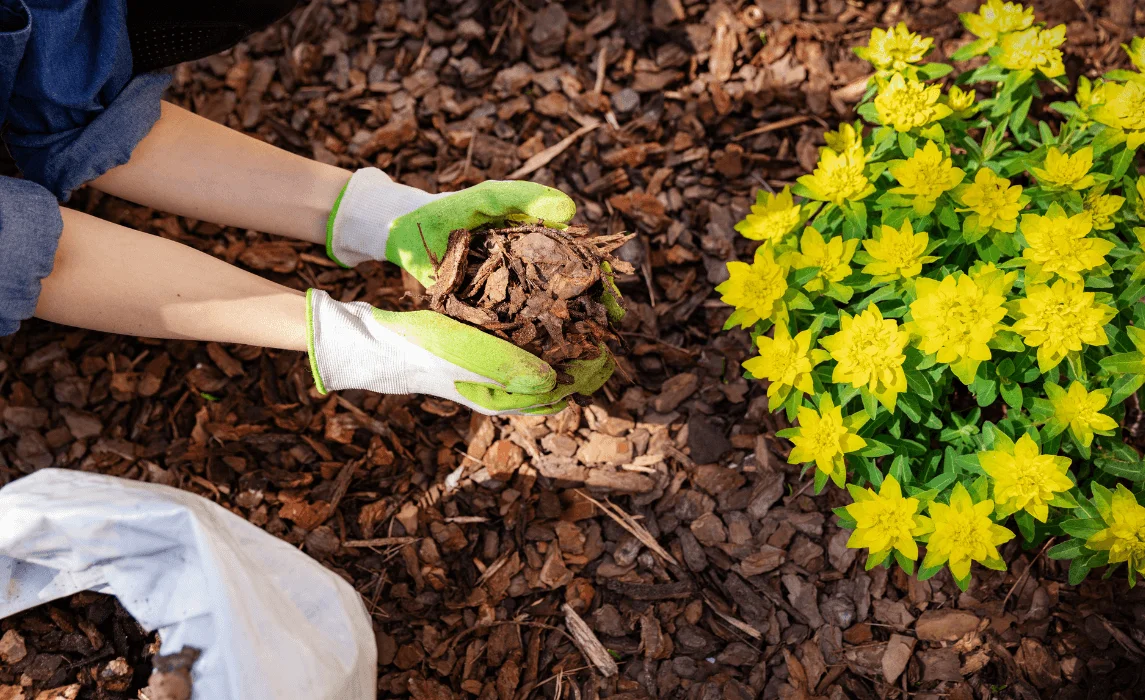 mulching for Weed Control