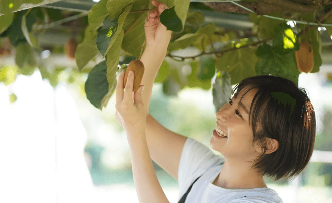 woman smiling and harvesting kiwi