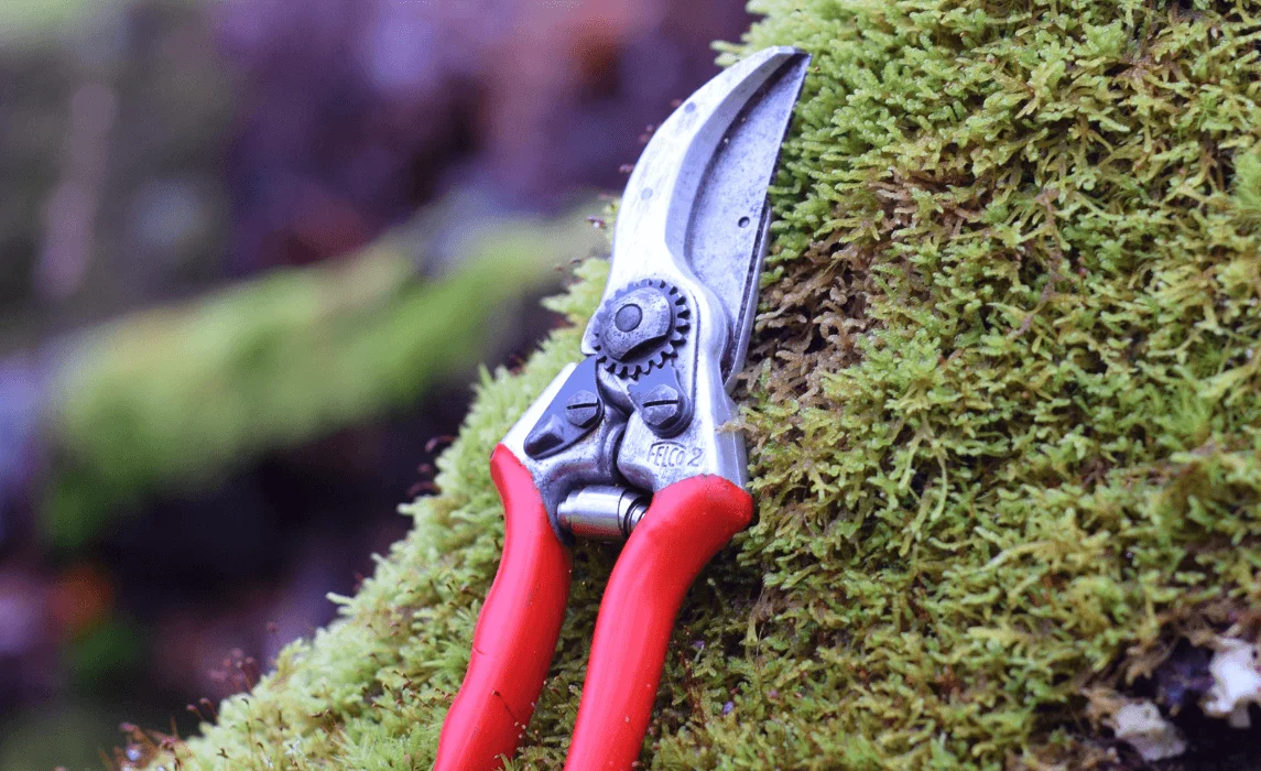 closeup on a pair of pruning shears