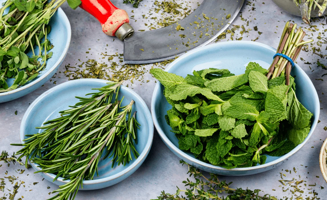 annual and perennial herbs on bowls