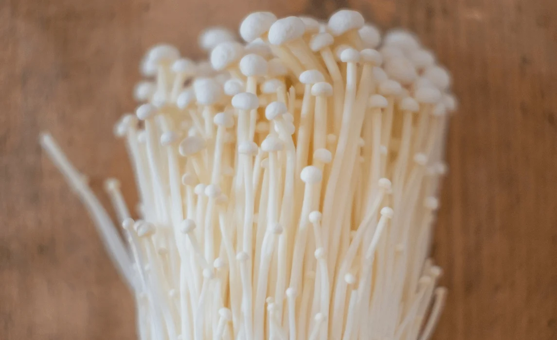 Enoki (Flammulina velutipes) mushroom closeup