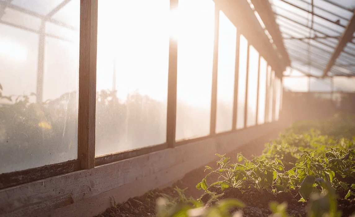 lighting inside a greenhouse