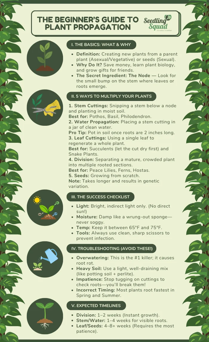 What Is Plant Propagation? Understanding the Propagation Basics infographic