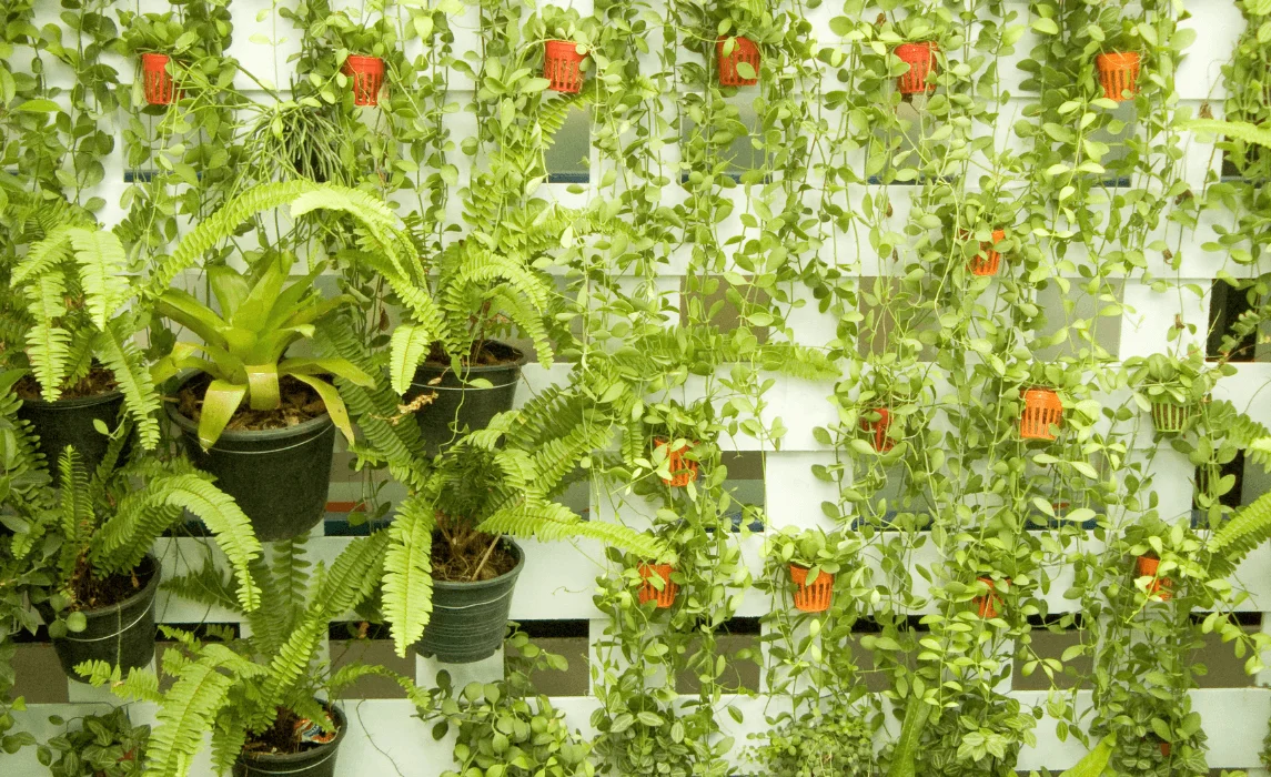 Build a Living Wall and Hanging Garden With These Vertical Garden Ideas