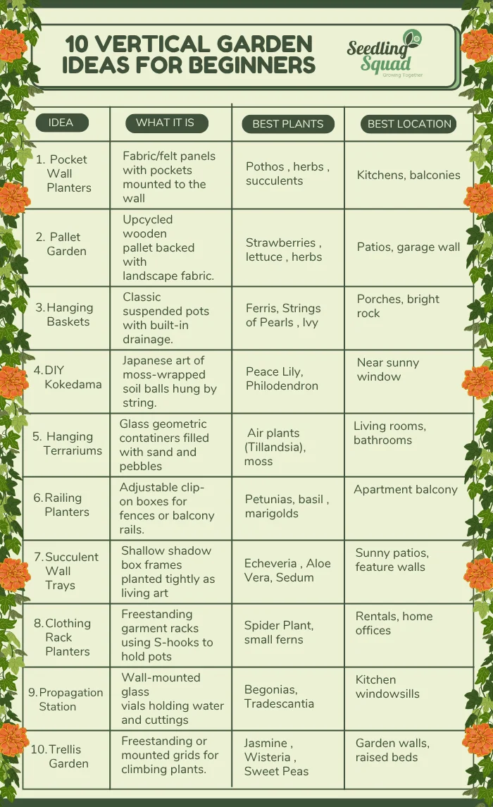 10 Best Hanging Garden Ideas for Beginners infographics