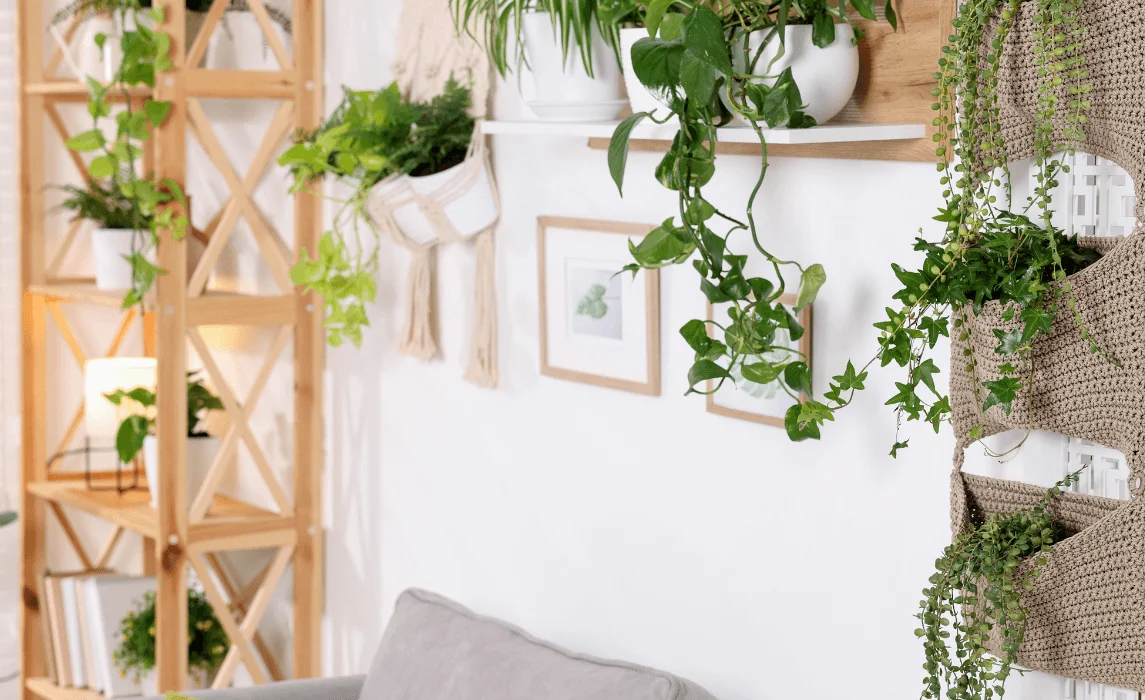 Wall Planters with Pockets