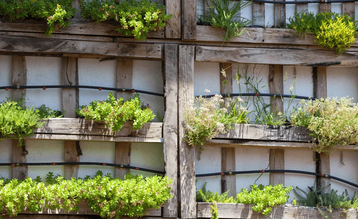 Pallet Vertical Garden
