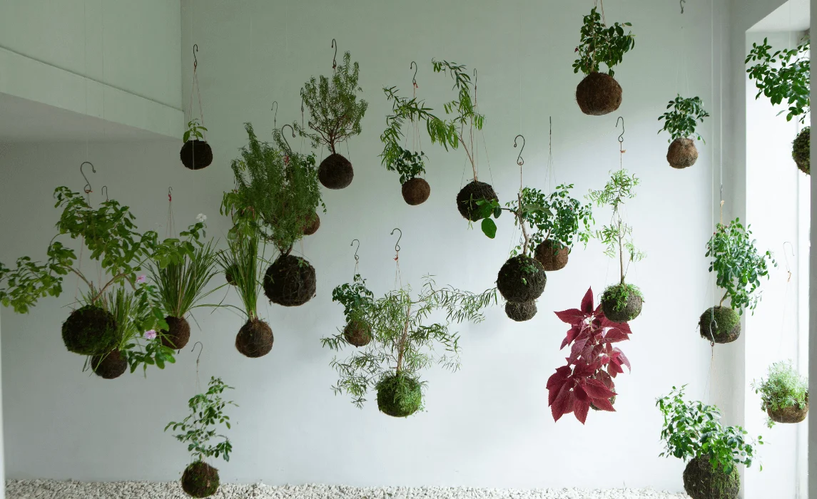 DIY Kokedama (Moss Balls)