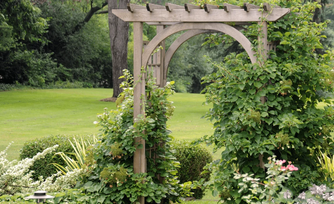 Trellis Garden with Climbing Plants