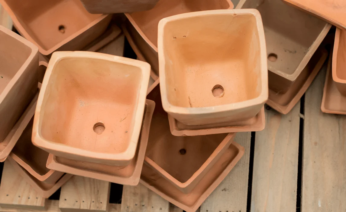 plant pots closeup