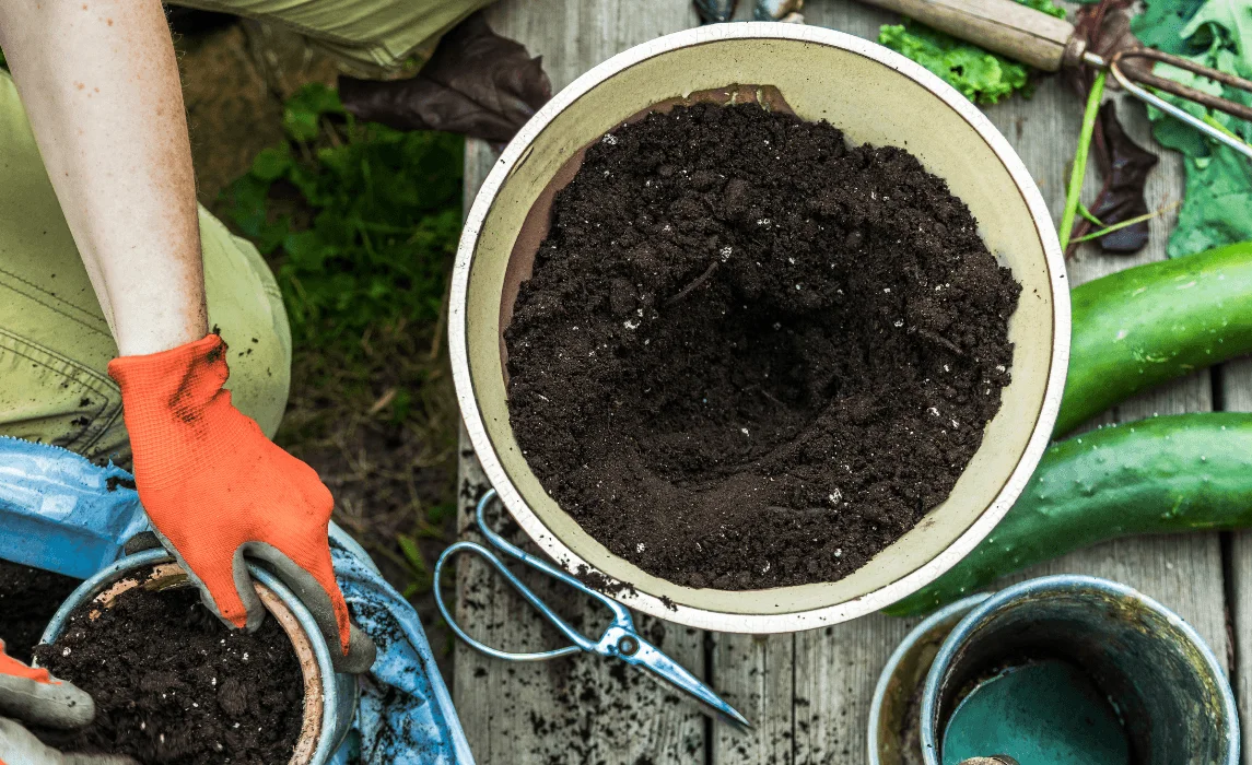 potting mix closeup