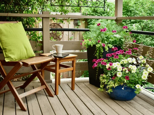 A Simple Beginner Tip for Your Balcony Garden