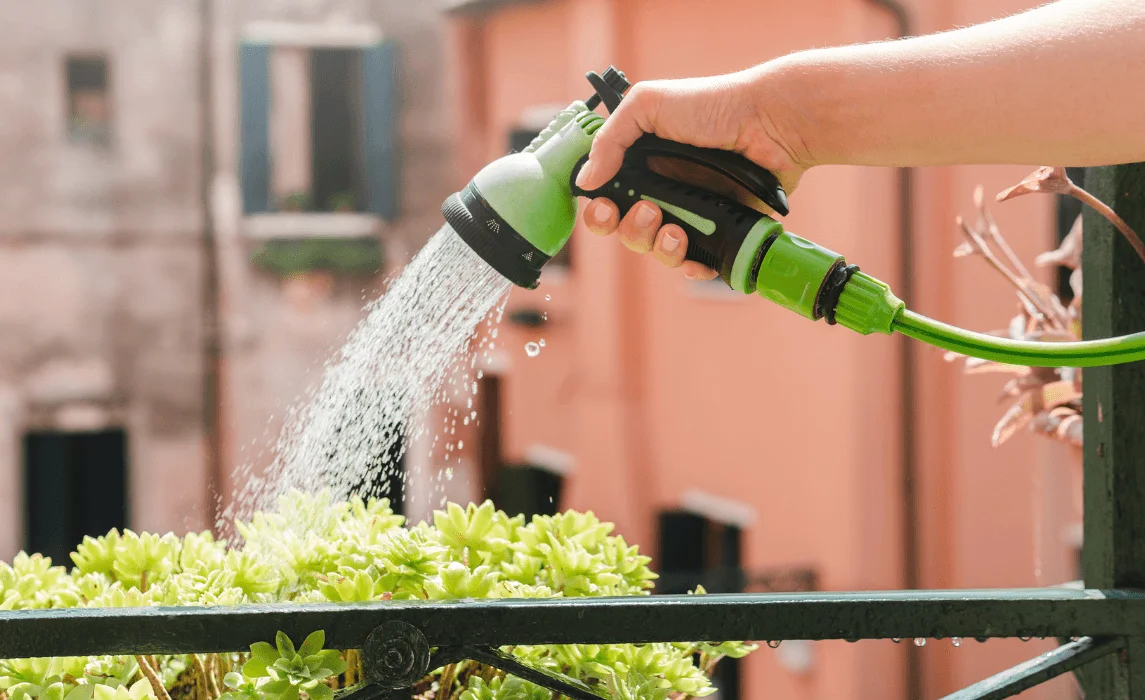 watering plants on balcony