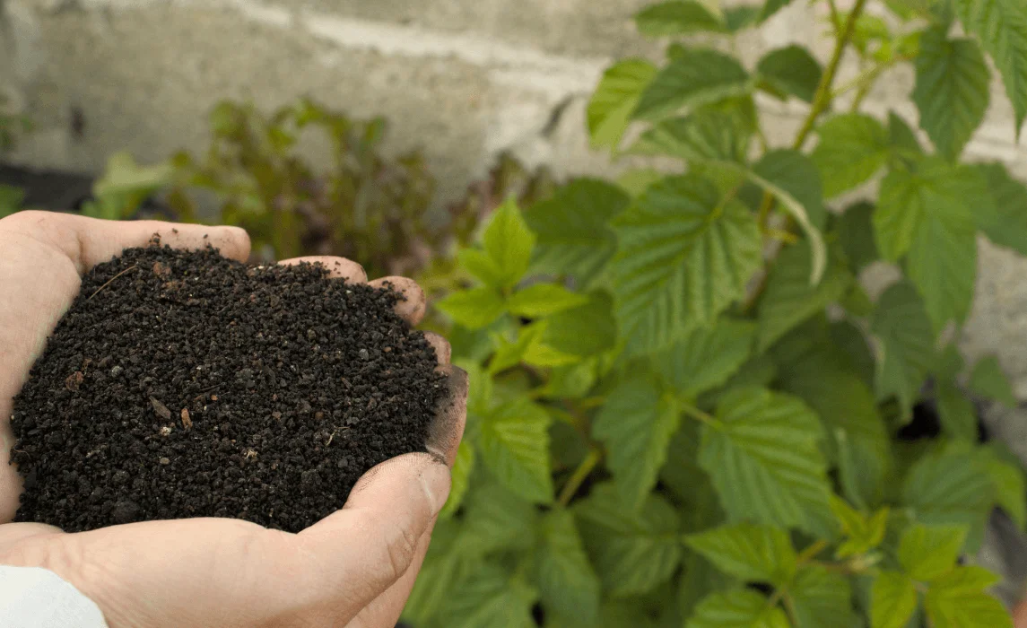 hand holding a mound of soil