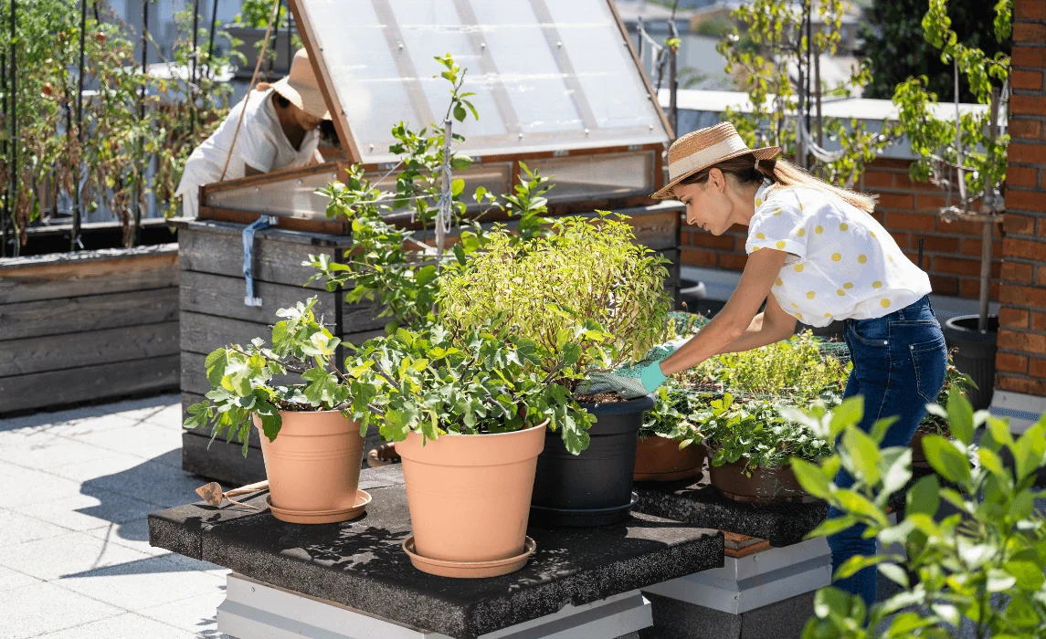 Types Of Rooftop Garden Design And Roof Garden Ideas For Your Terrace