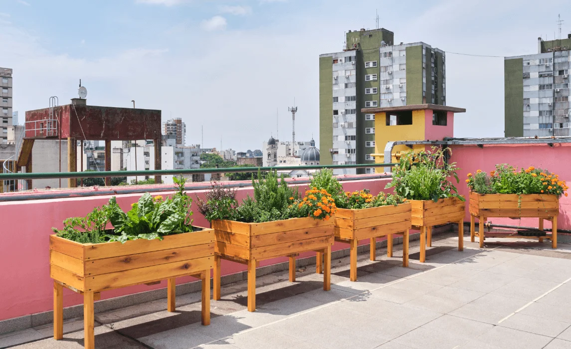 The Urban Container Terrace