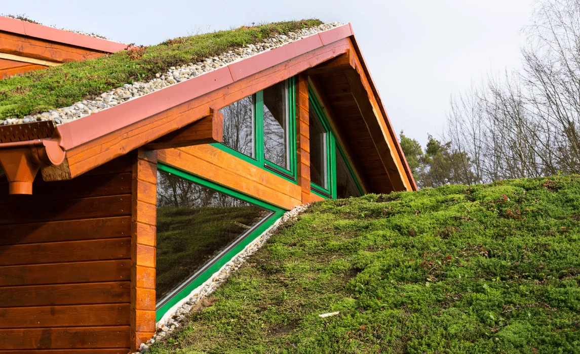 The Extensive Green Roof