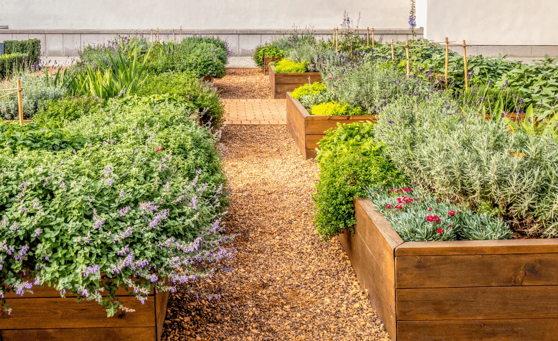 The High-Rise Herb Garden Sanctuary