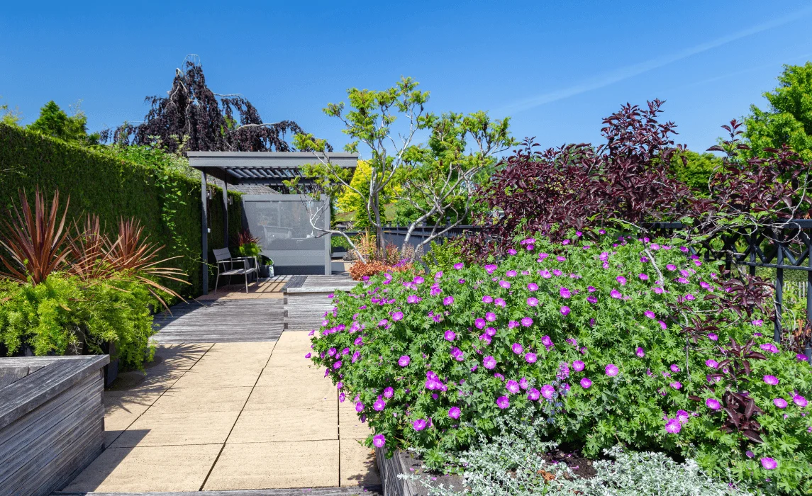 The Intensive Roof Landscape