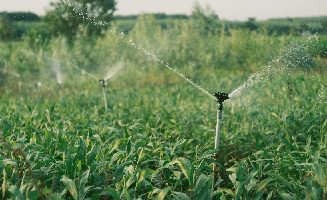 The Automated Irrigation Balcony Garden