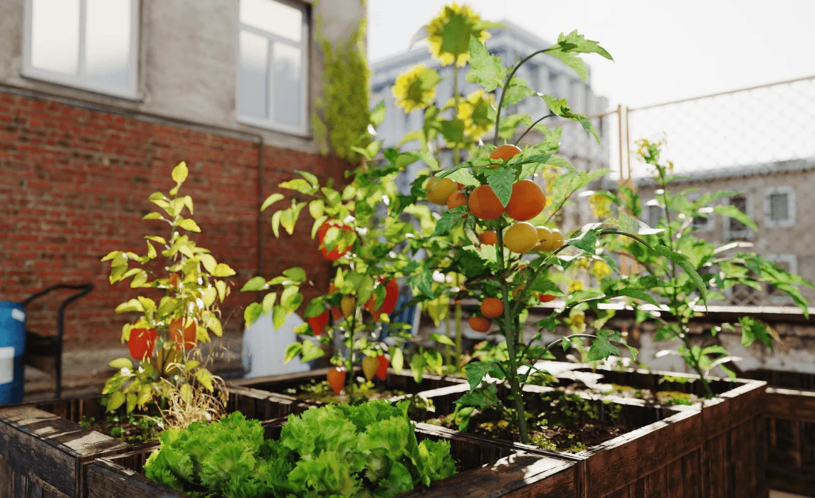 The Organic Fruit Rooftop Orchard