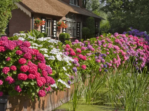 10 Inspiring English Garden Ideas for a Country Cottage Garden