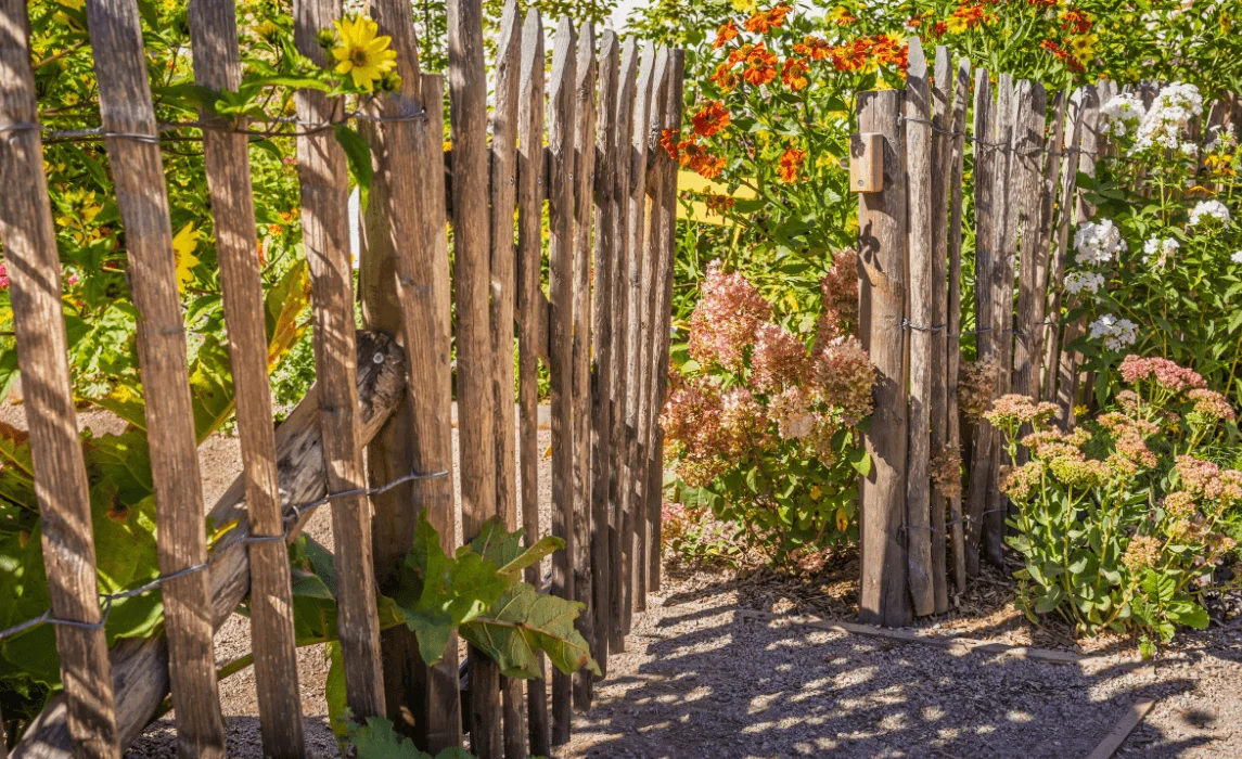 wooden fence in garden