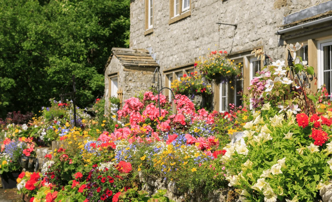 classic english flowers in garden