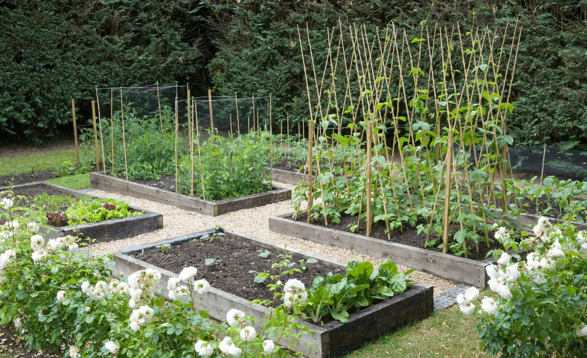 focal point in the center of garden