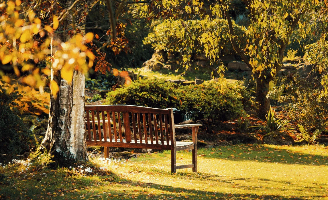 relaxed seating bench area in garden