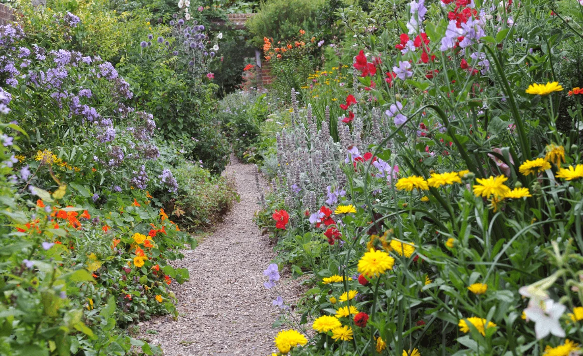 natural plants in garden