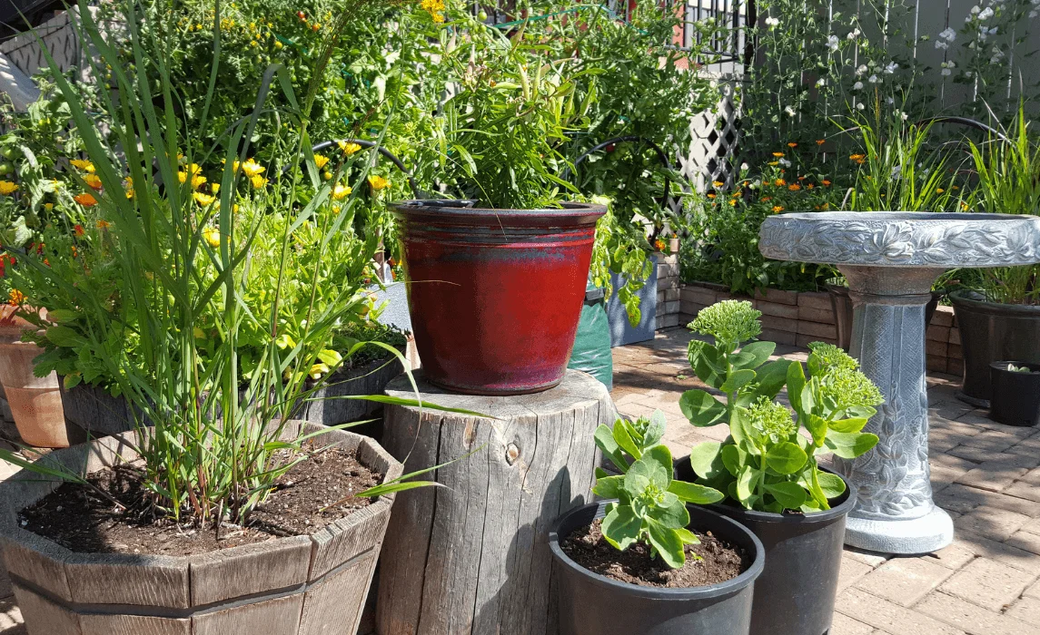 Container Gardening Pot Setup on a Patio