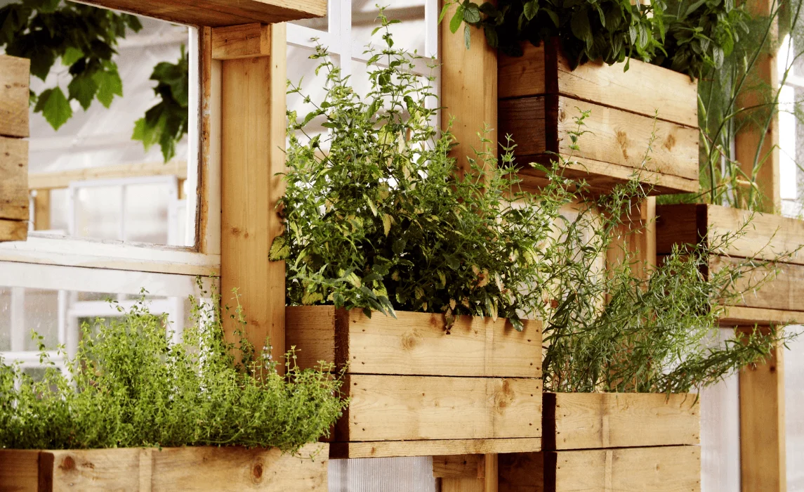 Simple Herb Garden Corner by the Outdoor Kitchen
