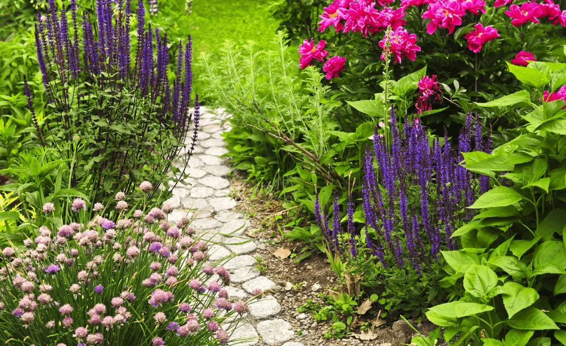 Cozy Cottage Garden Idea with Shrubs and Perennials