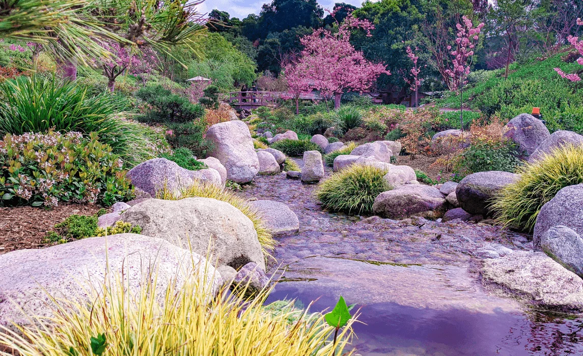 Minimalist Zen Rock Garden with a Water Feature