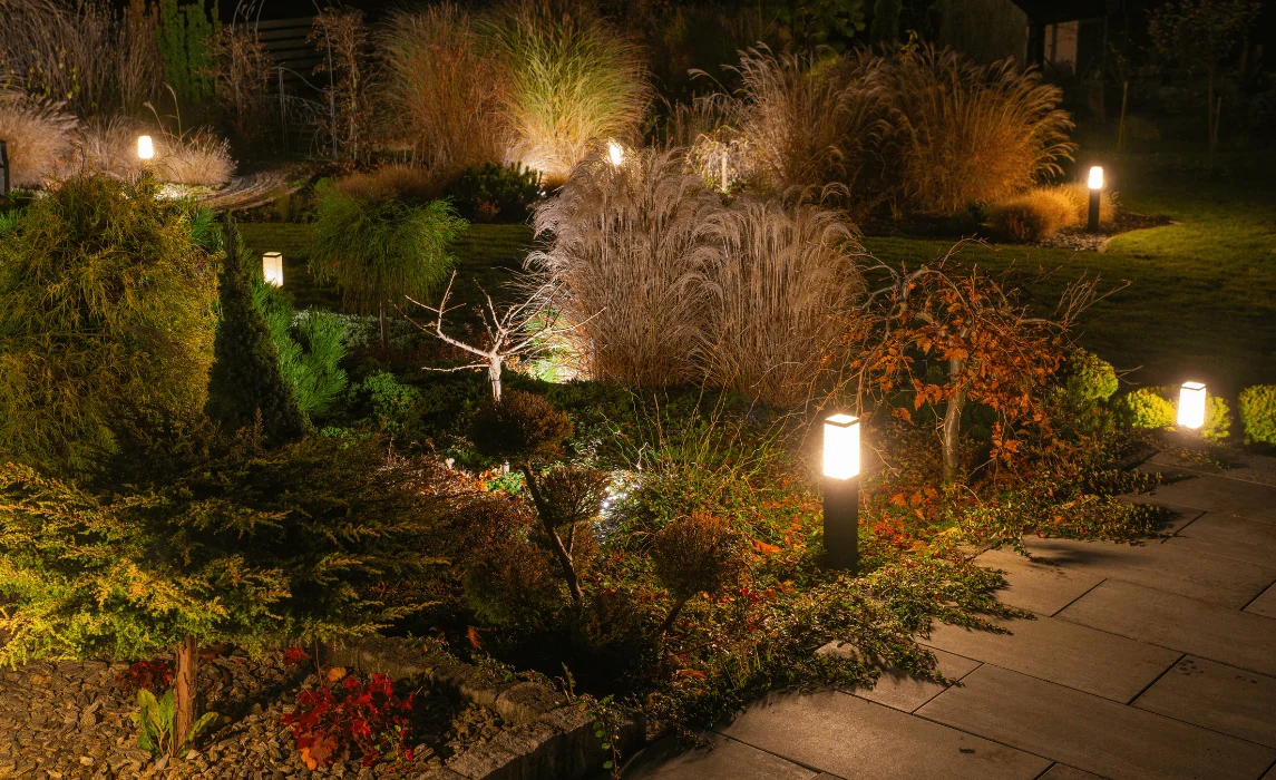 Shade Garden Idea for Low-Light Outdoor Spaces