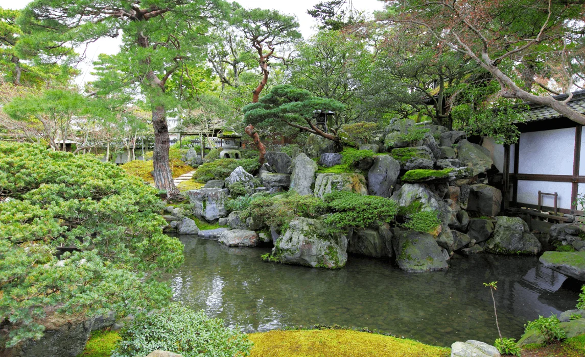 Japanese Garden