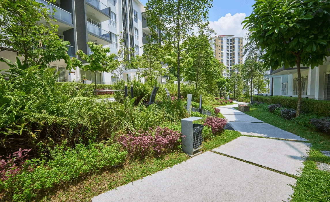 Modern Garden and Contemporary Gardens