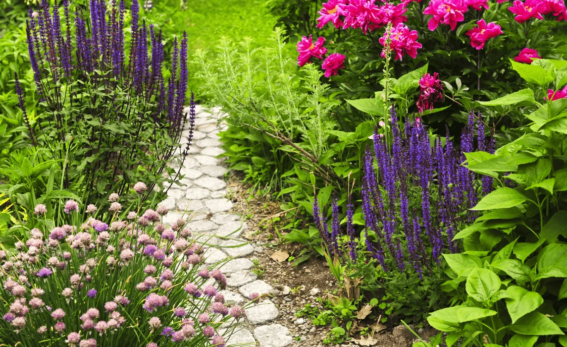 a walkway surrounded by flowers