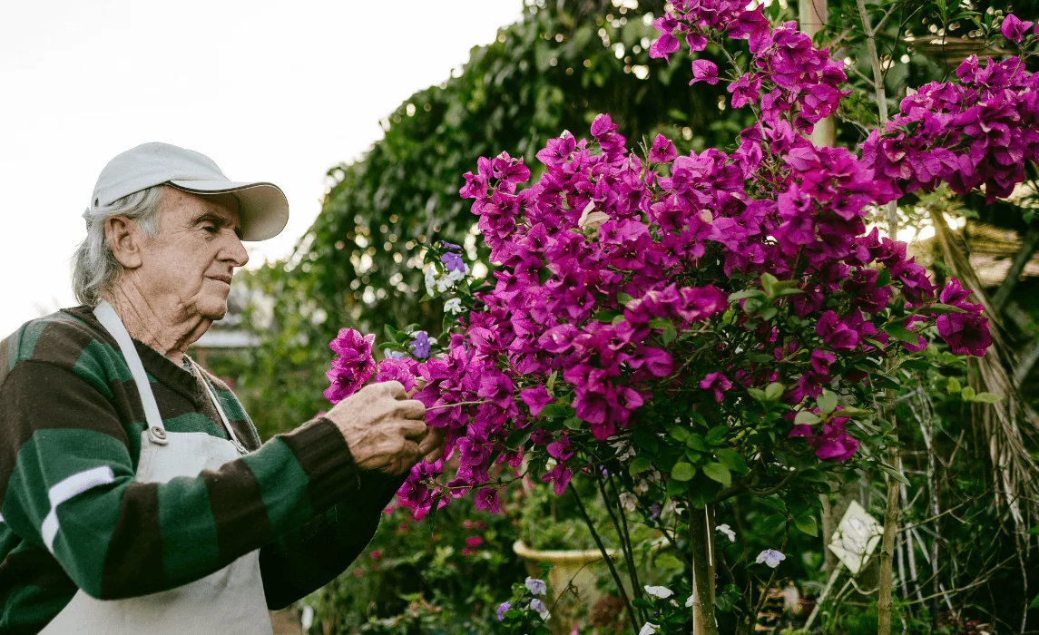 elderly man tending to flowers