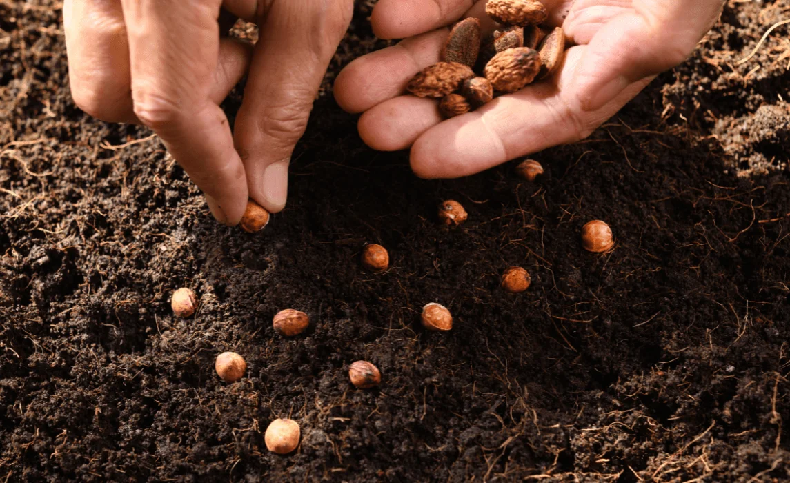Planting Calendar For Beginners
