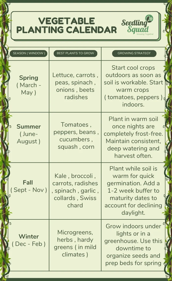 vegetable planting calendar infographic