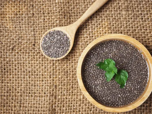 Grow and Care for Chia Plant Sprouts